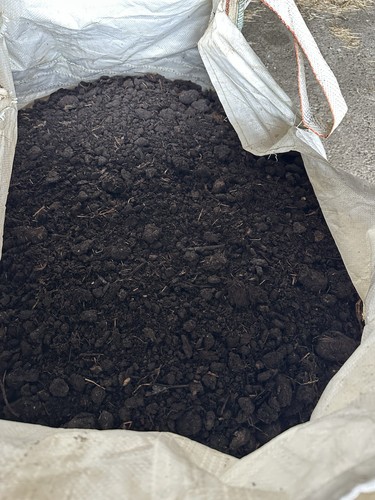 Horse manure compost - horse,