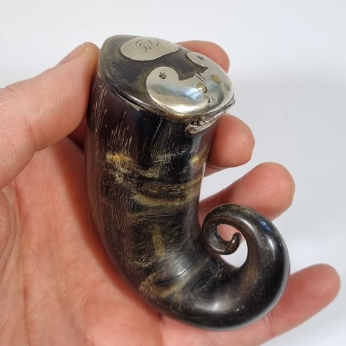 Antique 19thc scottish horn - scottish,