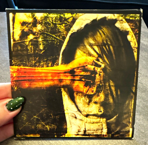 Porcupine tree - porcupine,