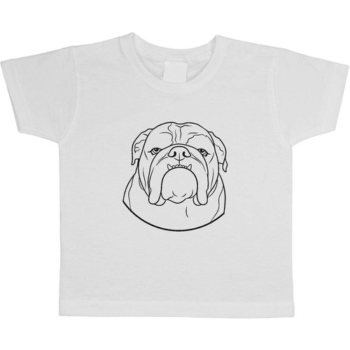 English bulldog portrait - bulldog, portrait'