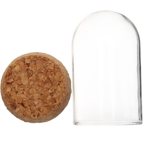 Glass display dome with base - dome,