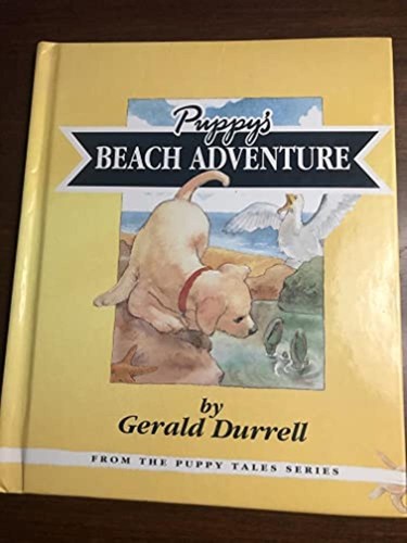 Puppy beach adventure - adventure,