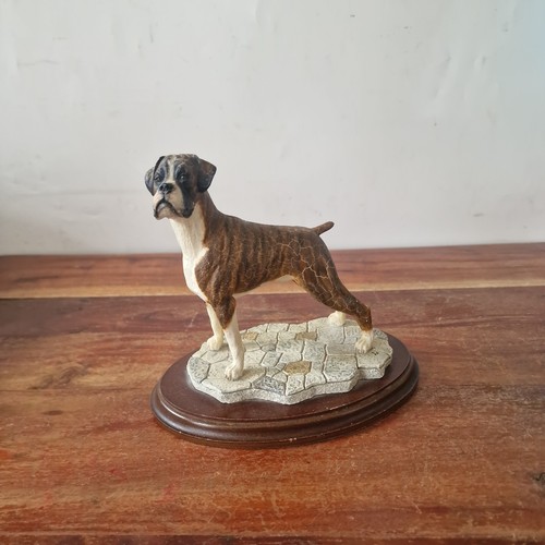 Country artist boxer dog - country,