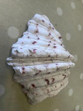 Clam shell horse - shell,