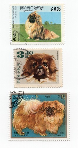 Pekingese collection vintage - pekingese,