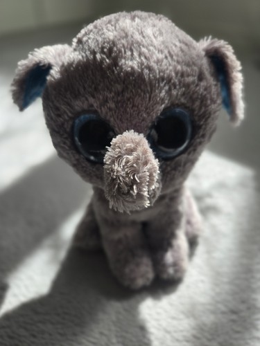 Peanut the elephant - elephant, a