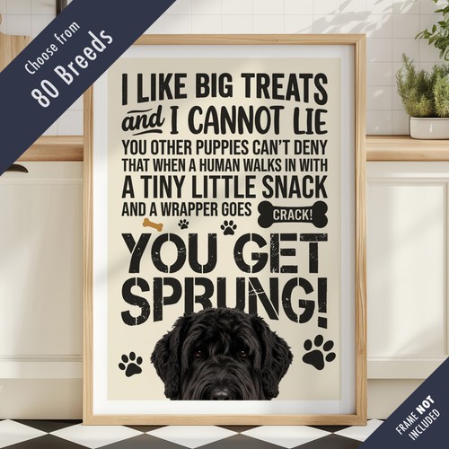 Funny dog treats - funny,