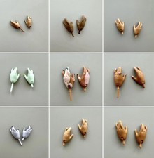 Rainbow  High Doll  Spare