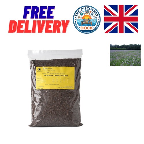 Phacelia seeds nectar rich - phacelia, nectar-rich