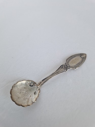 Silver salt spoon french - silver,
