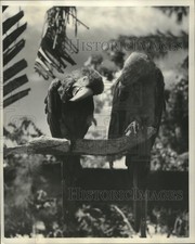 1952 Press Photo Miss Macaw