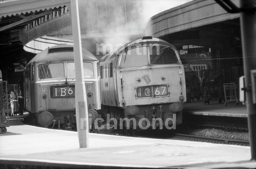 Paddington class western - 52, &