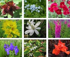 Patio Pool Value Pack - Water