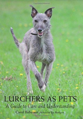 Lurchers pets guide to - pets:, a