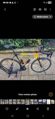 Stunning iconic colnago - colnago, c40