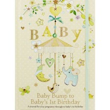 Baby journal bump - to, 1st