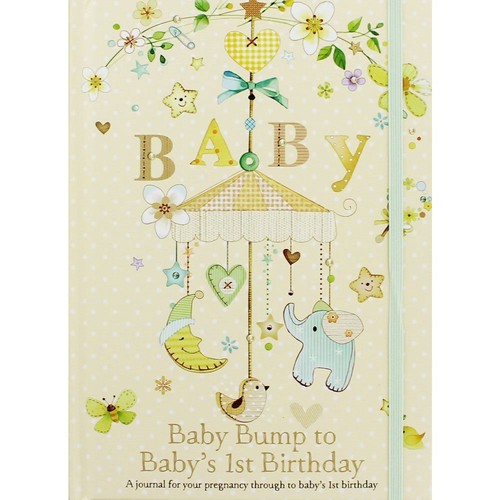 Baby journal bump - bump, 1st