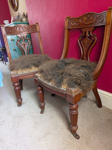Victorian chairs - x,