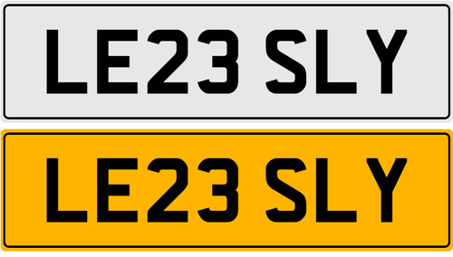 Le23 sly lesley - sly,
