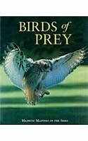 Birds prey majestic - prey:,