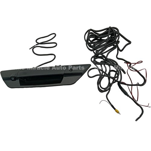 Rear tailgate door - rear,