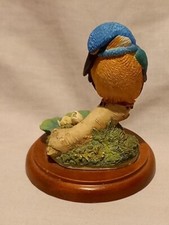 Vintage 1998 Border Fine Arts Russell Willis 484253 Kingfisher On Wooden Plinth.