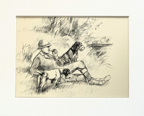 Otterhound dog vintage sketch