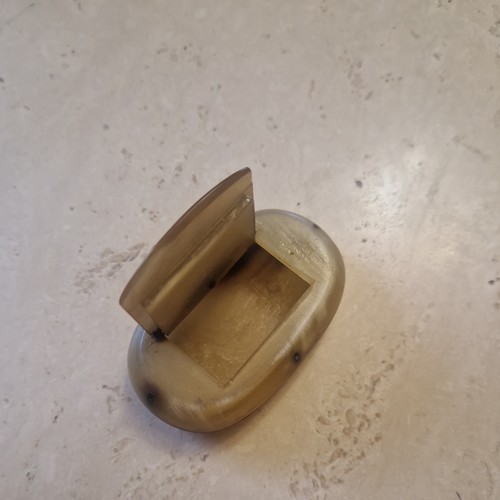 Antique georgian horn - antique,