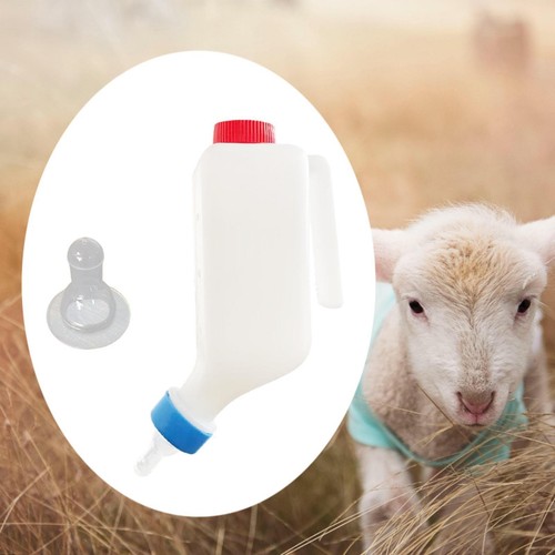 Sheep milk bottle animal - milk,