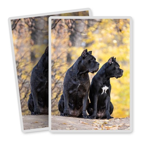 Vertical vinyl stickers - 2x,