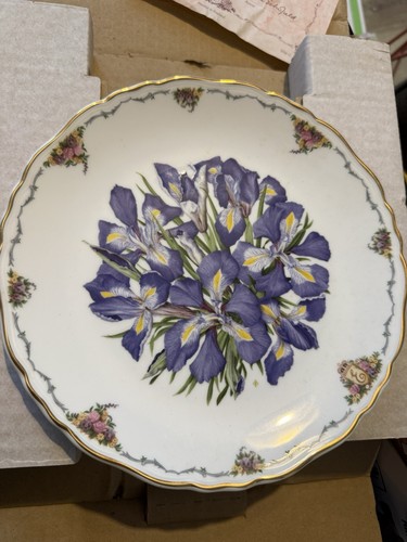 Royal albert collectors plate - royal,