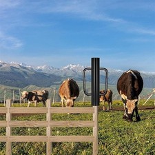 Fence post driver with - post,