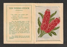 Kensitas WIX tobacco Medium