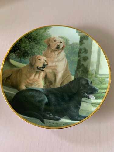 Labrador plate canine - plate,