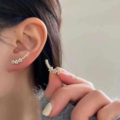Zirconia stone stud earrings - stud,