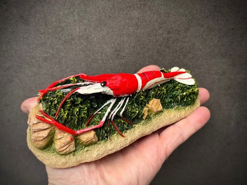 Shrimp red aquarium decoration - shrimp,