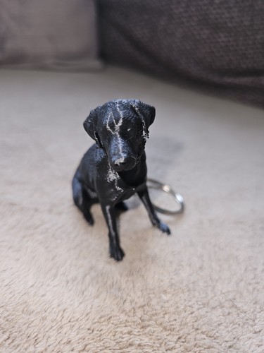 Black labrador keychain free - -,