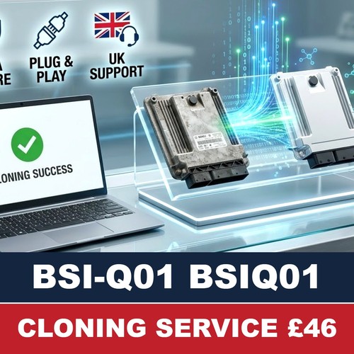 Cloning service bsi - cloning, bsiq01