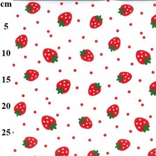 Strawberry Novelty Polycotton