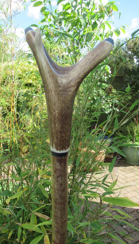 Hand crafted tall hazel - hand,