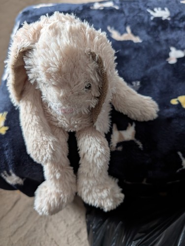 Pms scruffy floppy - pms,