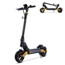 2025 twofish max 10in - twofish,