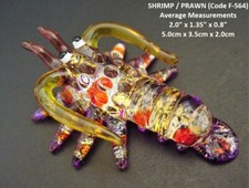 Beautiful glass crab hermit - beautiful,