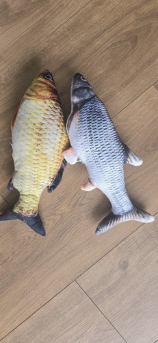 Funny fish plush toys stuffed - fish,