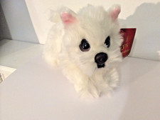 WESTIE..WHITE SCOTTIE