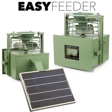 Automatic bird feeder - bird,