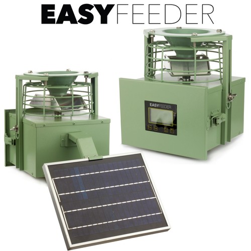 Automatic bird feeder outdoor - bird,