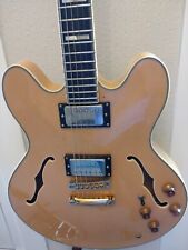 Epiphone   Sheraton  Hollow Body Guitar.