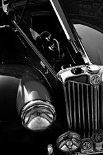MG TF Classic Sports Motor Car Front Grille And Badge Logo Photograph Picture