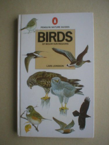 Birds mountain regions - birds,